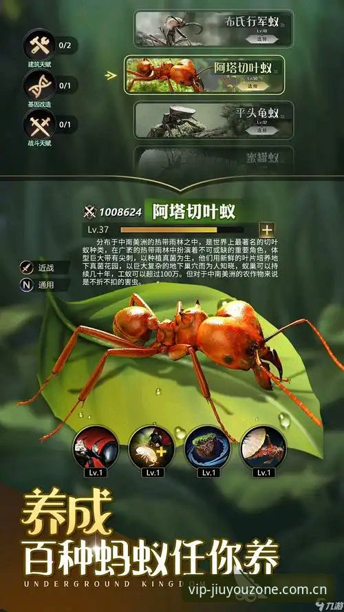 九游娱乐游戏平台选型指南：从新手到高手的完整使用策略